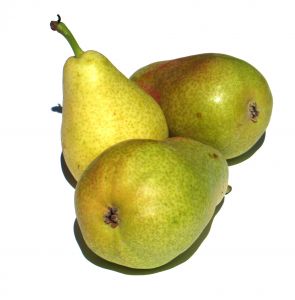 kruške kruške