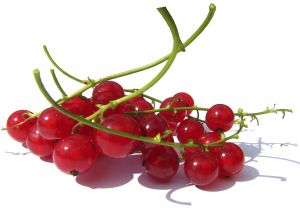currant currant