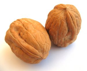 Orasi Orasi