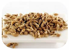 anise anise