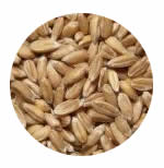 dinkel dinkel