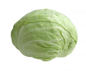 kupus kupus