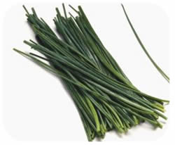 Allium schoenoprasum