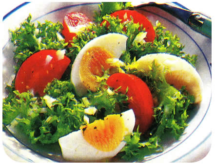 Endivija salata Endivija salata