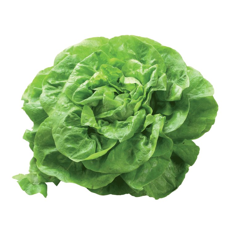 salata